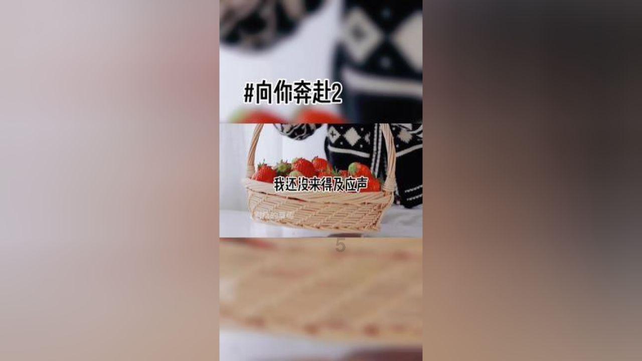 九三学社湖南省委会九届三次全体(扩大)会议召开