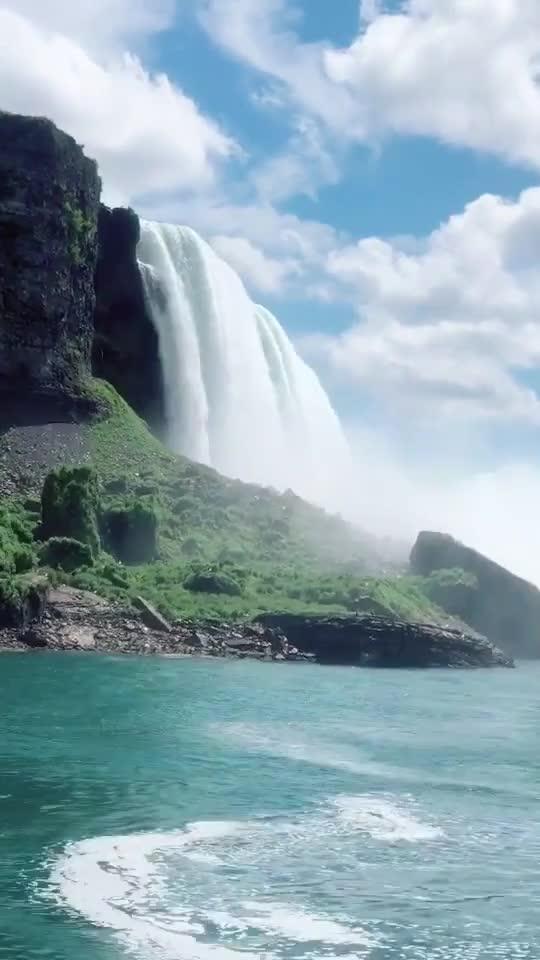 虫虫助手下载