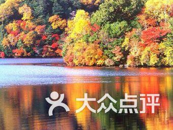 月光影视